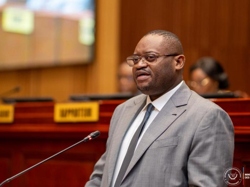 Doudou Fwamba
