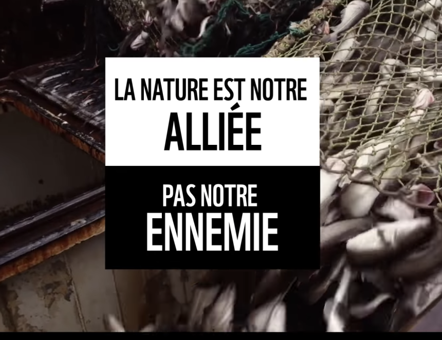 SUR DESKNATURE.COM