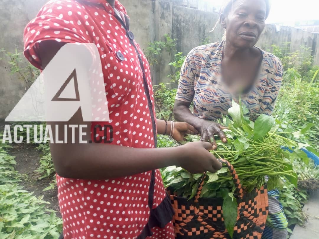 Journée internationale de la femme rurale :  focus sur les héroïnes de la sécurité alimentaire à Kinshasa ! 