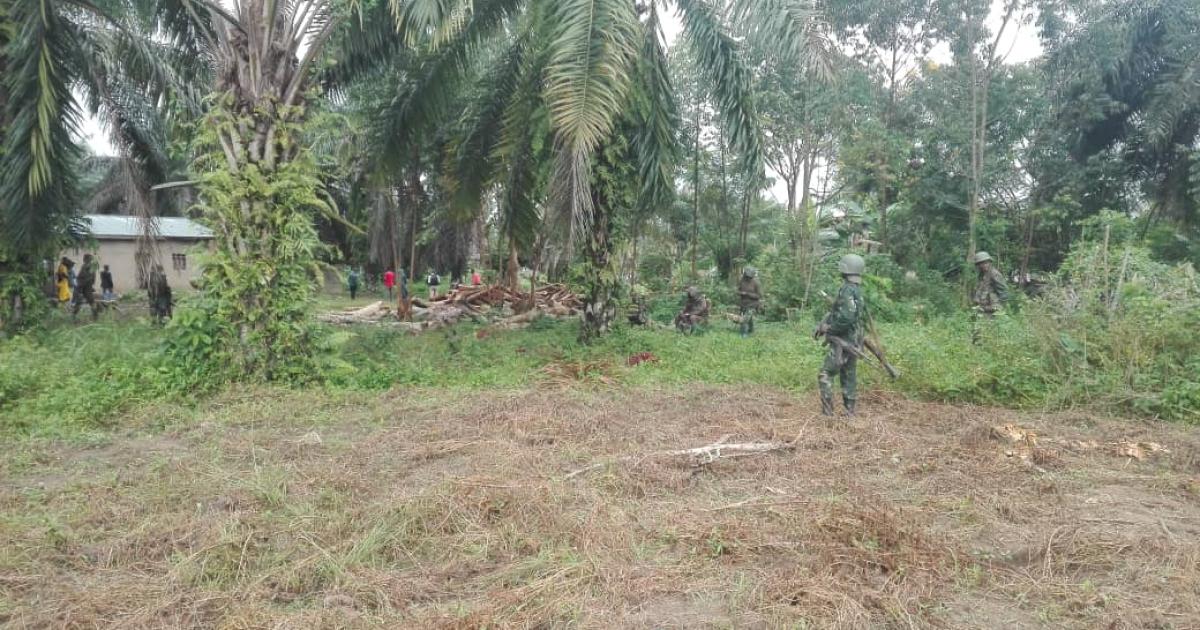 FARDC