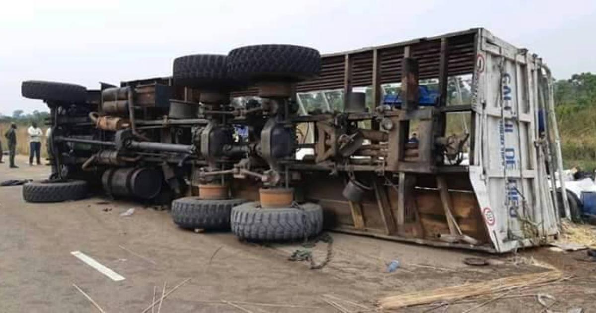 camion 