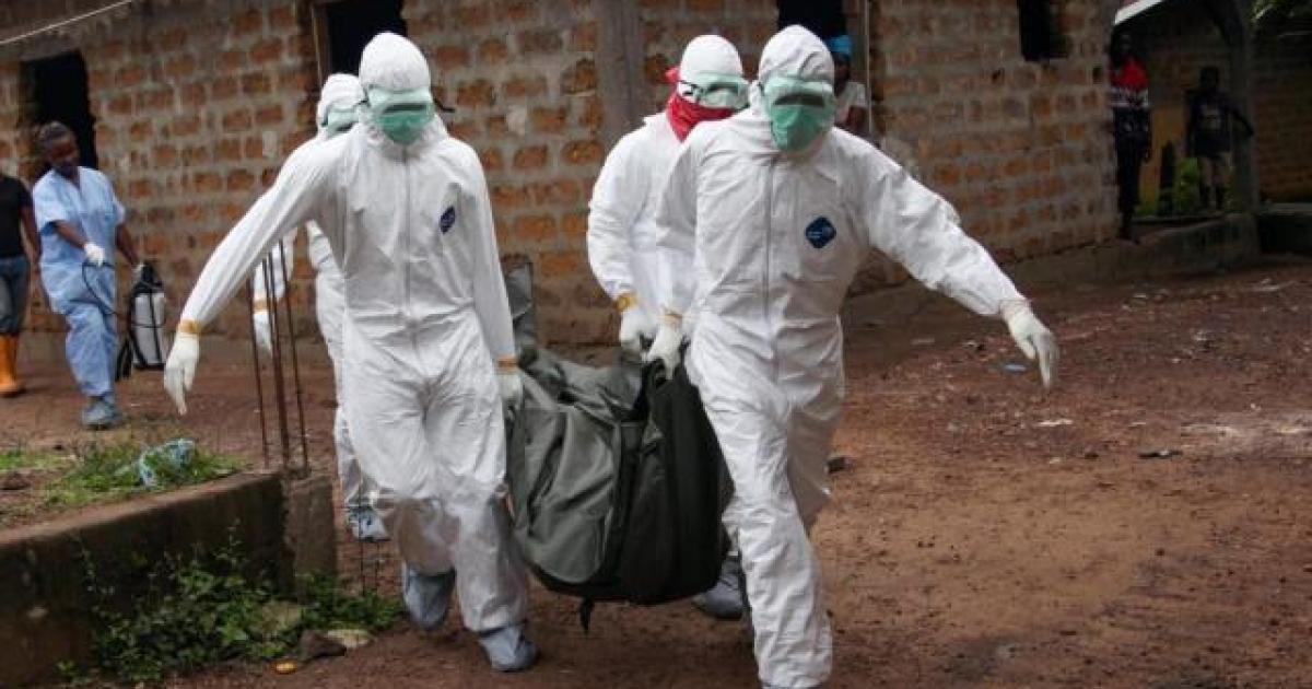 Des agents de santé 