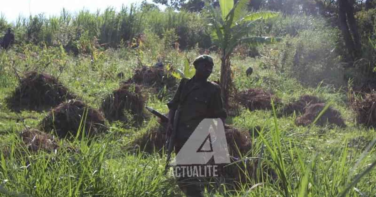 Militaire FARDC dans la forêt, près de Beni (Ph. ACTUALITE.CD/Ley Uwera) 