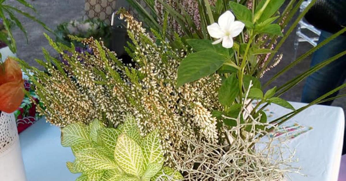 Exposition au Festival du jardin