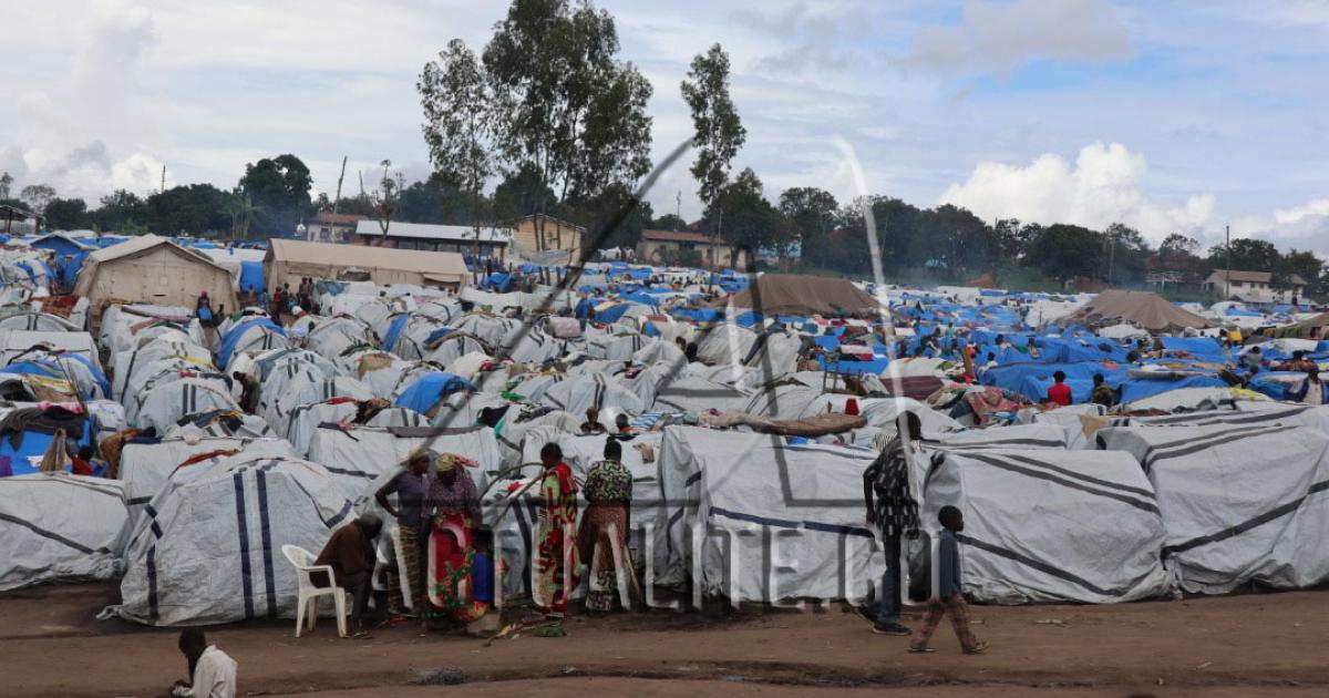 Un camp de déplacés du territoire de Djugu érigé près de l'hôpital général de référence de Bunia (Photo Ley Uwera/ACTUALITE.CD)
