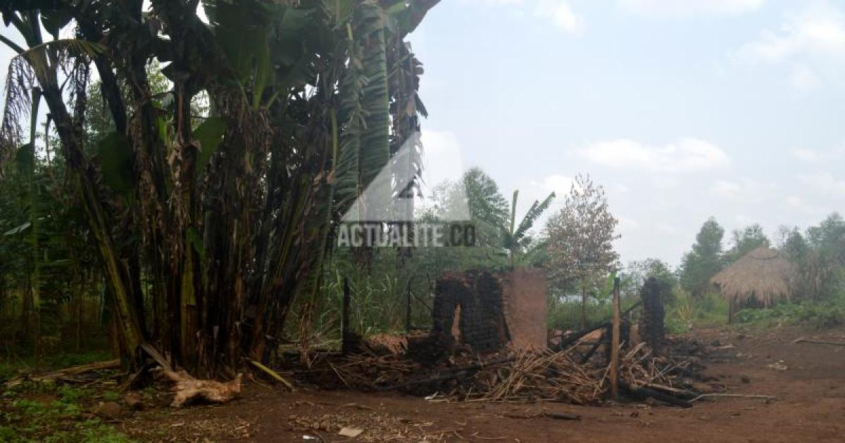 Un village incendié par les miliciens à 10Km de Nizi, Djugu (Photo ACTUALITE.CD)