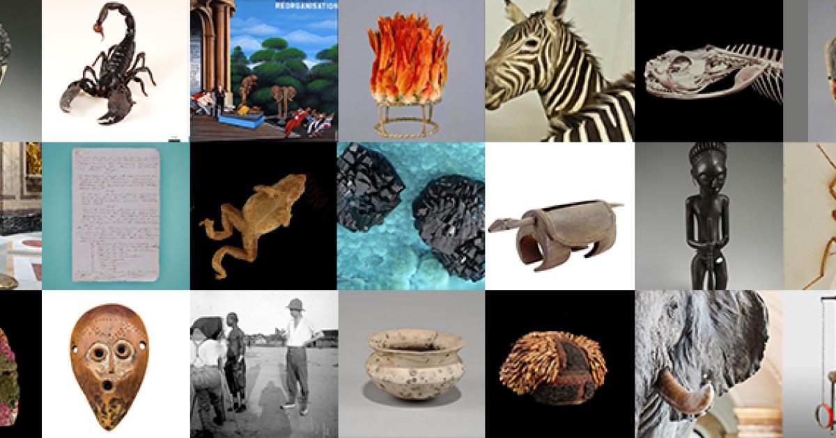 Africa Museum de Belgique