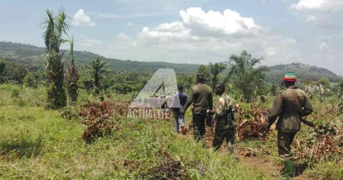 Les FARDC en patrouille dans la périphérie de Beni après des affrontements avec des miliciens Mai-Mai ce lundi 22 octobre 2018 (Photo Yassin Kombi/ACTUALITE.CD)