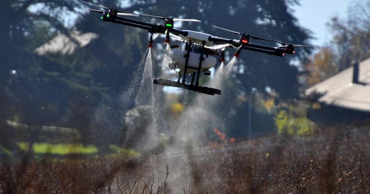 Un drone
