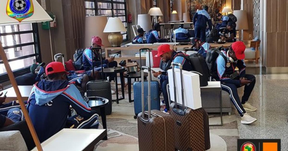 Léopards à l'aéroport du caire