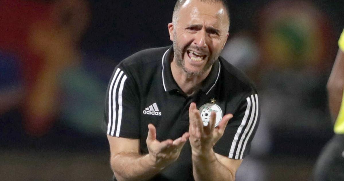 Belmadi