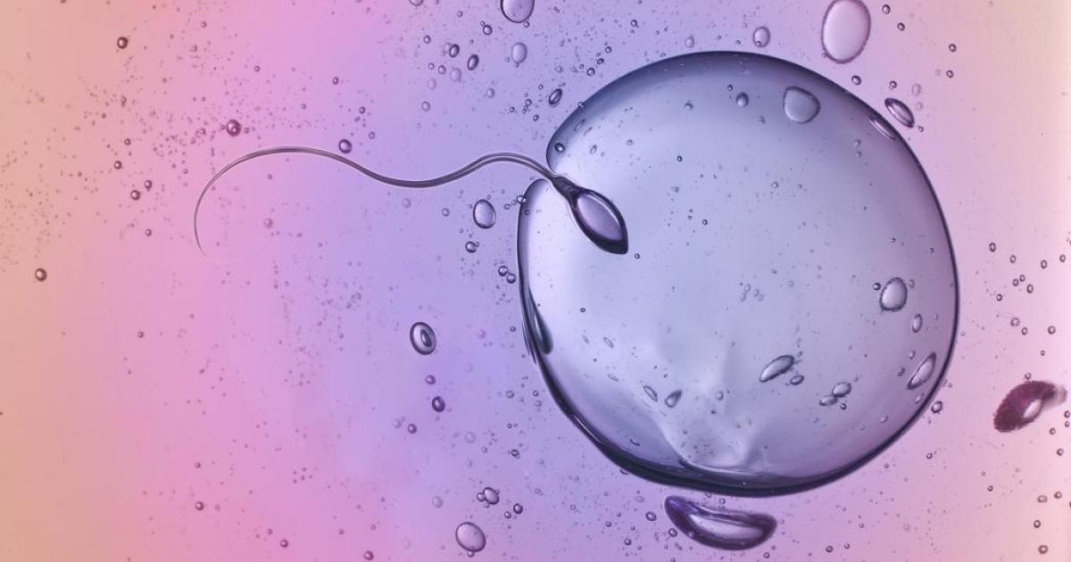 Infertilité masculine: causes et traitement. Photo. Droits tiers