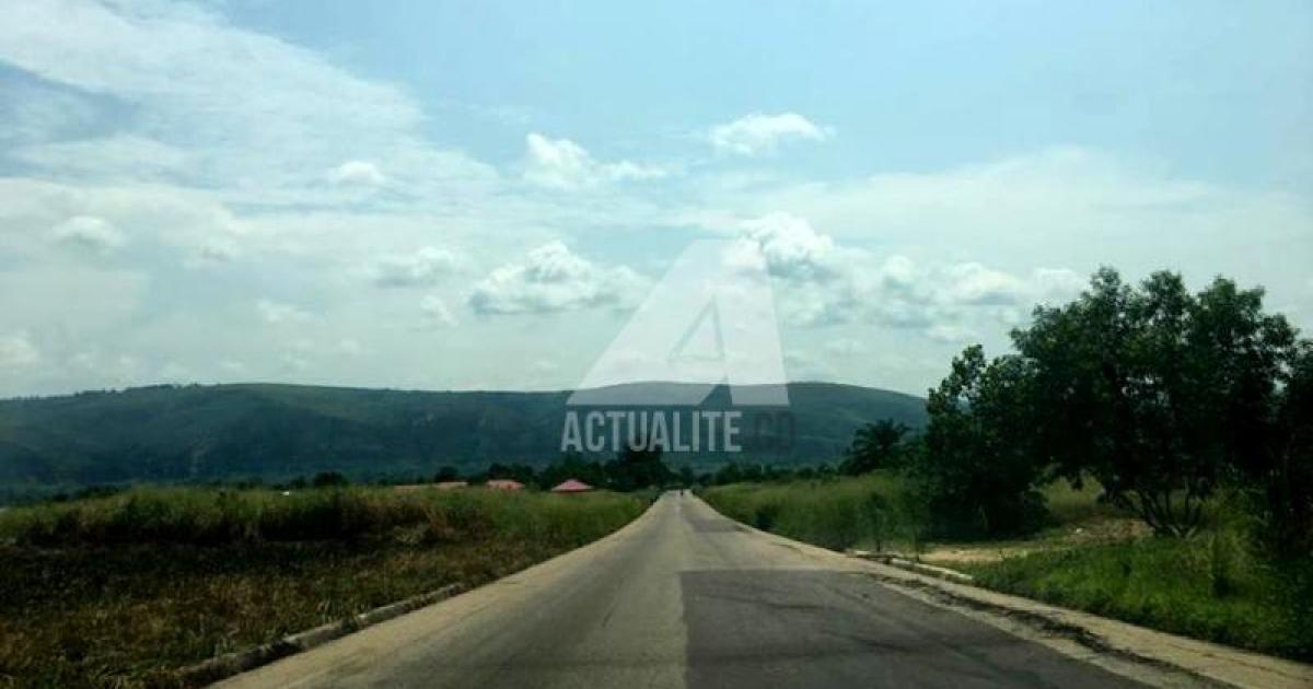 Actualité