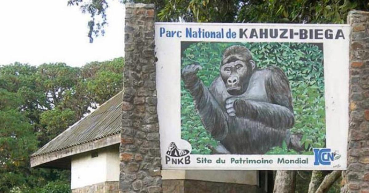 kahuzi-biega
