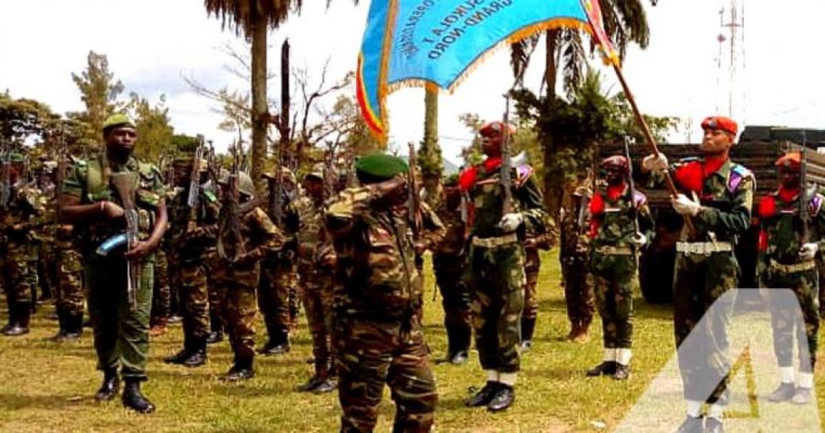 Parade des militaires des Forces armées de la République démocratique du Congo