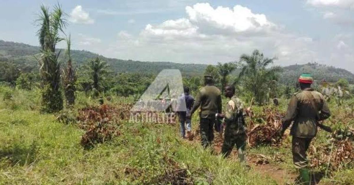 Les militaires FARDC à l'est du pays. Photo ACTUALITE.CD.