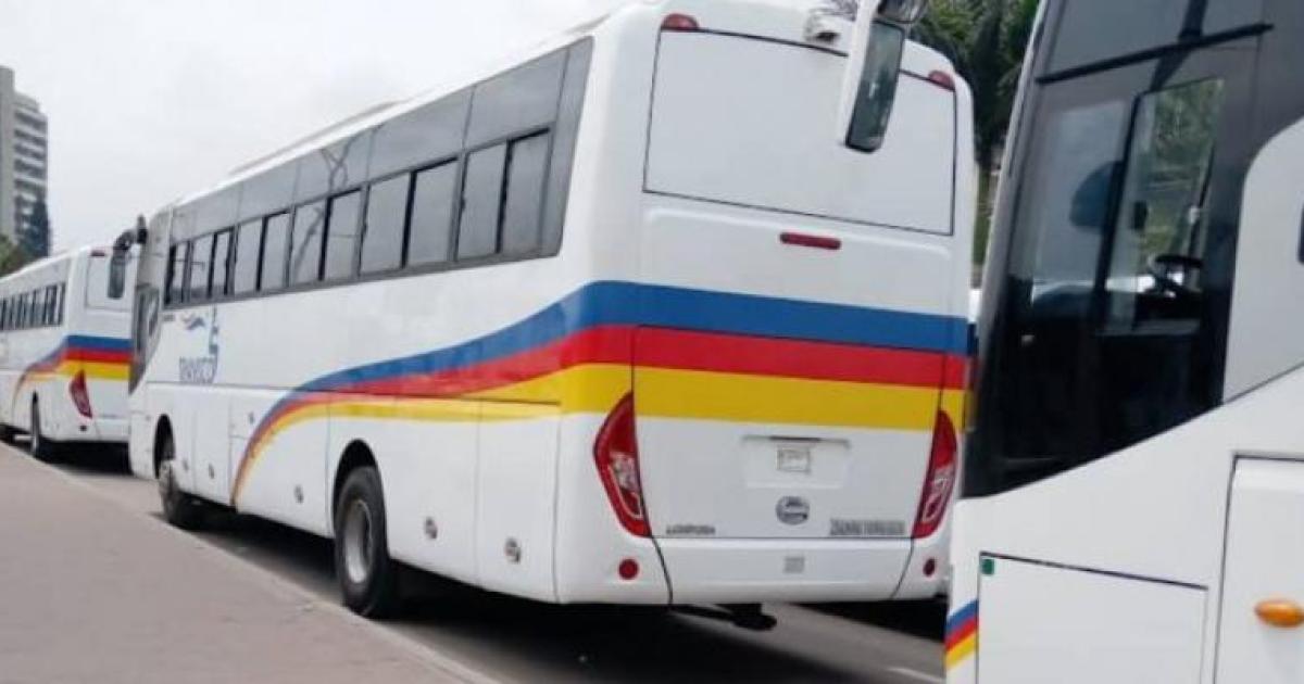 Illustration des bus Transco, ph. Droits tiers 