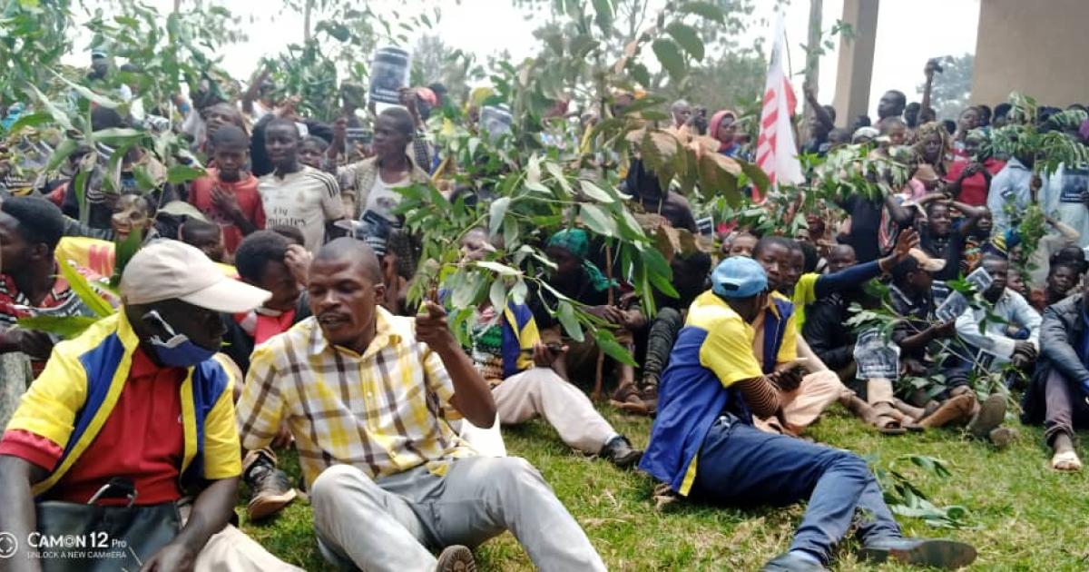 Sit-in de militants de l'UNC à Walungu. Ph. Droits tiers.