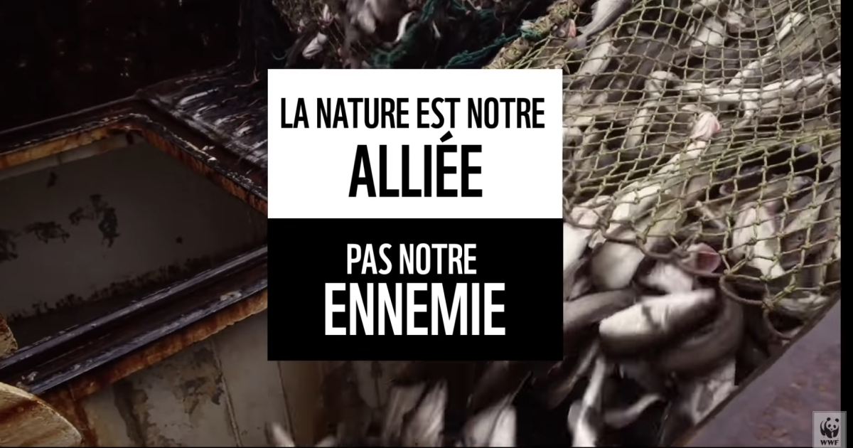SUR DESKNATURE.COM