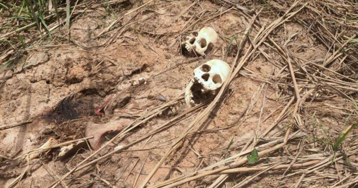 Une fosse commune dans la région du Kasai