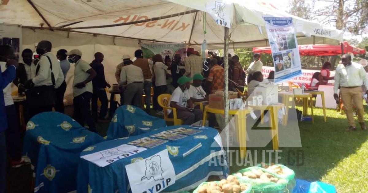 RDC : Beni organise le forum agricole