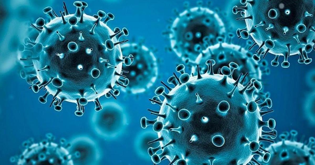 coronavirus