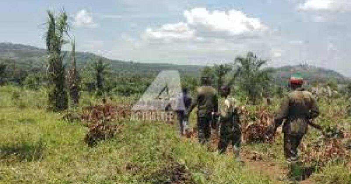 Forces Armées de la République démocratique du Congo. Ph/Actualite.cd 