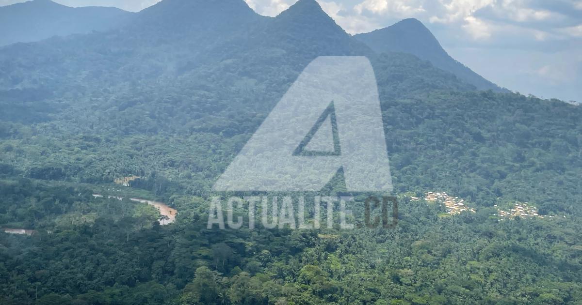 ACTUALITE.CD
