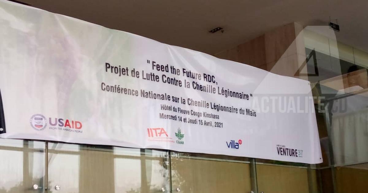 RDC : ouverture à Kinshasa de la conférence nationale sur la chenille légionnaire du maïs.
