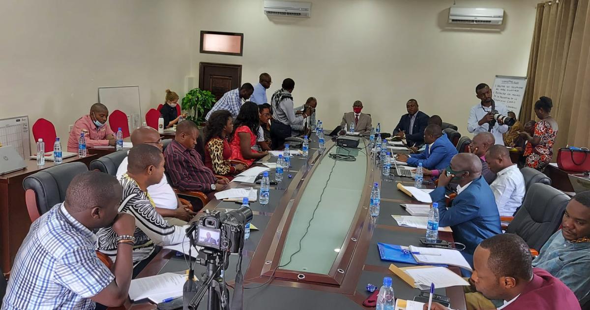 Les membres du Réseau Mwangaza au cours d'un webinaire. Ph. Droits tiers.