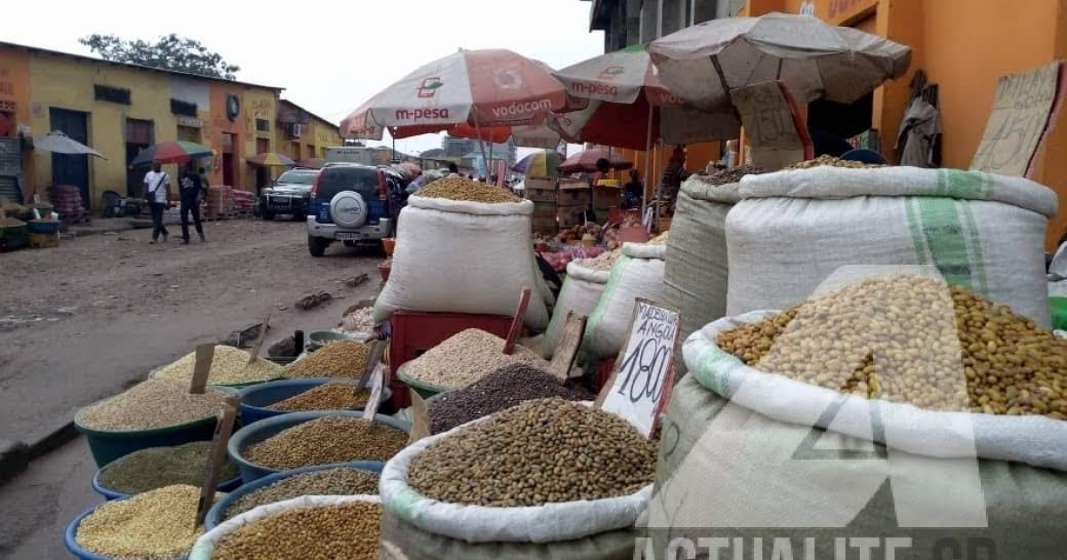 Les commerces exercés par les femmes à Kinshasa/Ph ACTUALITE.CD 