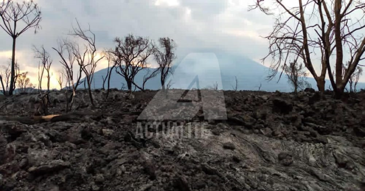Une partie du parc des Virunga ravagée par la lave dans le territoire de Nyiragongo/Ph ACTUALITE.CD 