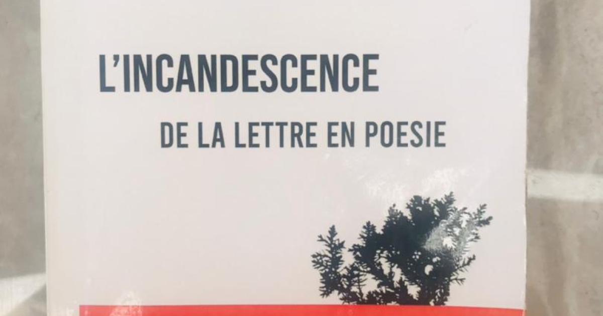 Ph. ACTUALITE.CD