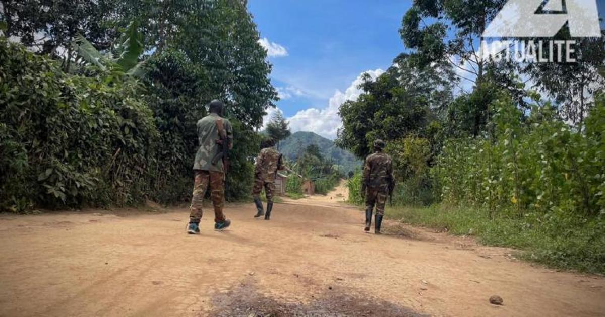 Les militaires congolais dans la zone opérationnelle de Beni/Ph ACTUALITE.CD