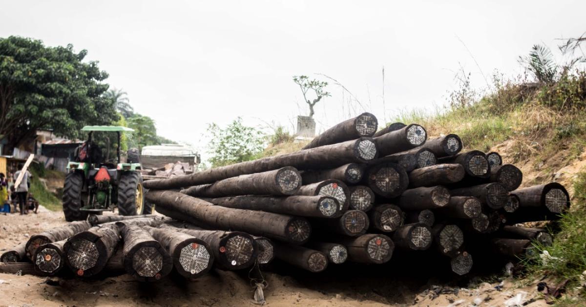 Poteaux électriques en bois/Ph. droits tiers