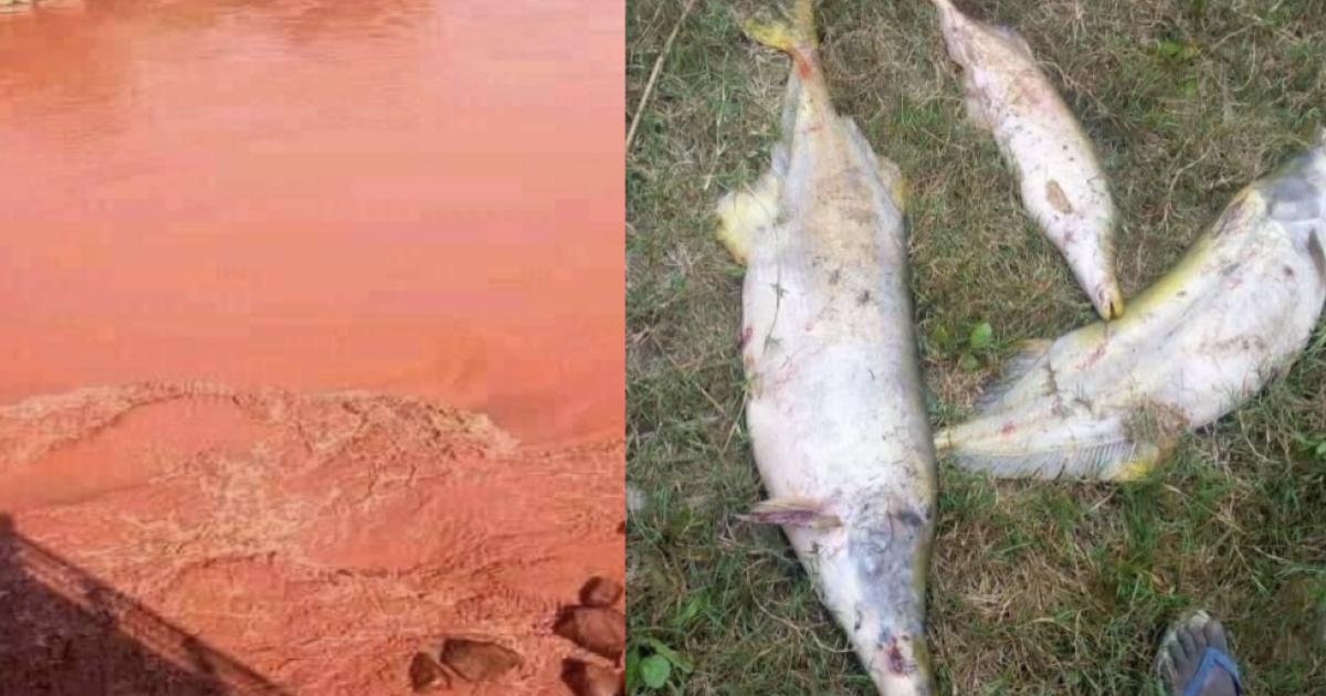 Les effets de la pollution des rivières congolaises 