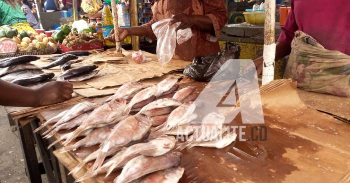 Kinshasa: baisse des prix des produits surgelés 