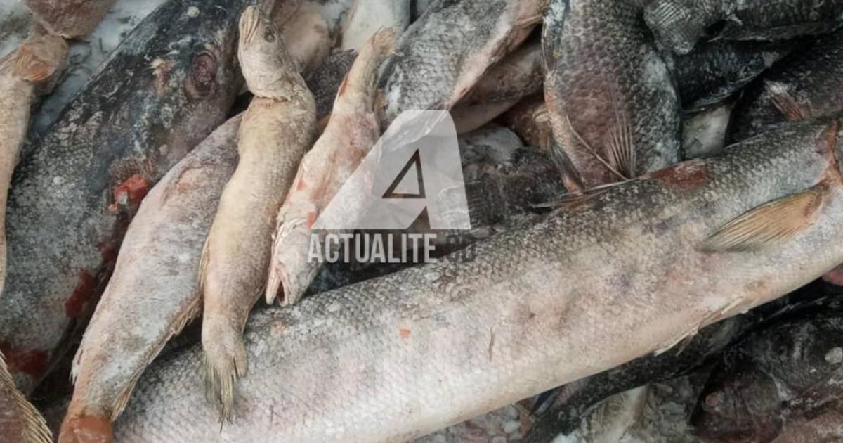 Les poissons surgelés 