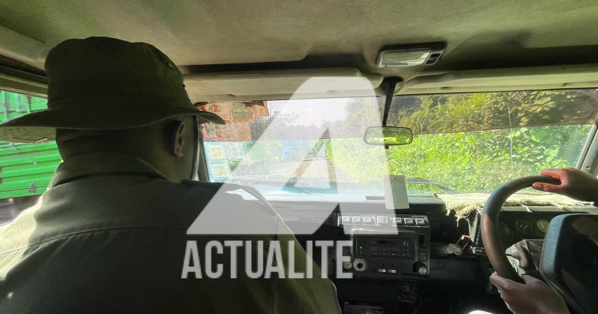 Une patrouille des Écogarde du Parc National des Virunga
