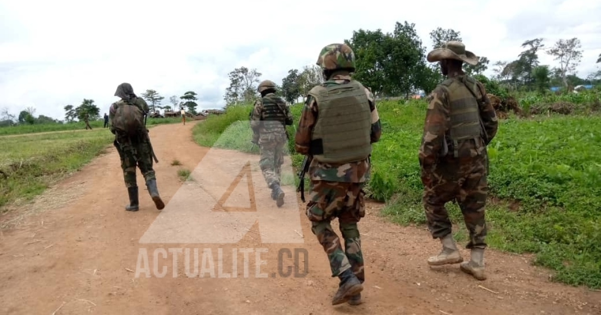 Les FARDC et les casques bleus malawites en patrouille dans le territoire de Beni