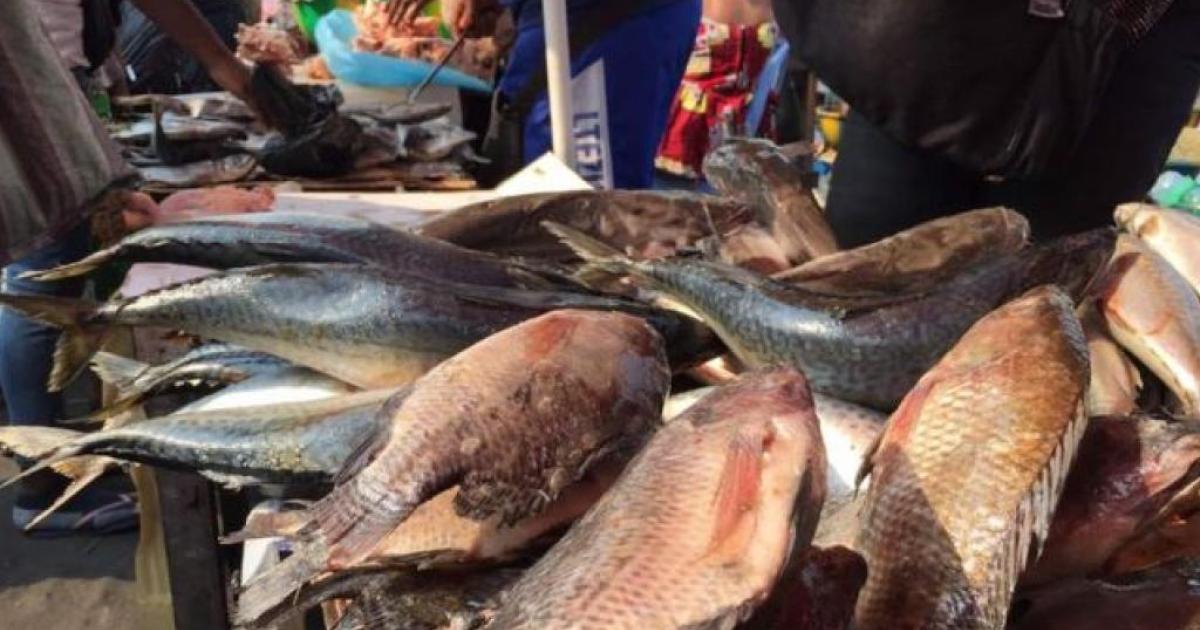 Poissons