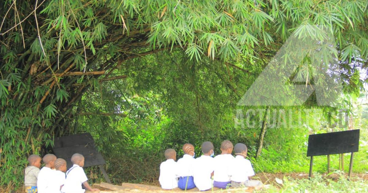 Une salle de classe atypique de l'école Ngora dans le territoire de Lubero