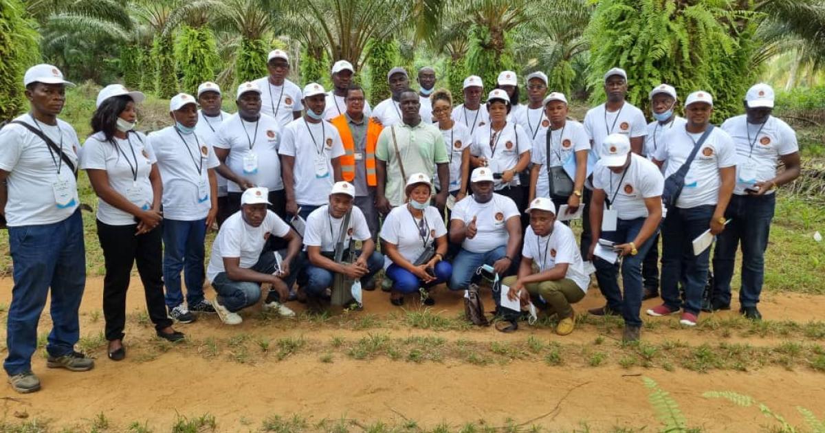 Planteurs congolais