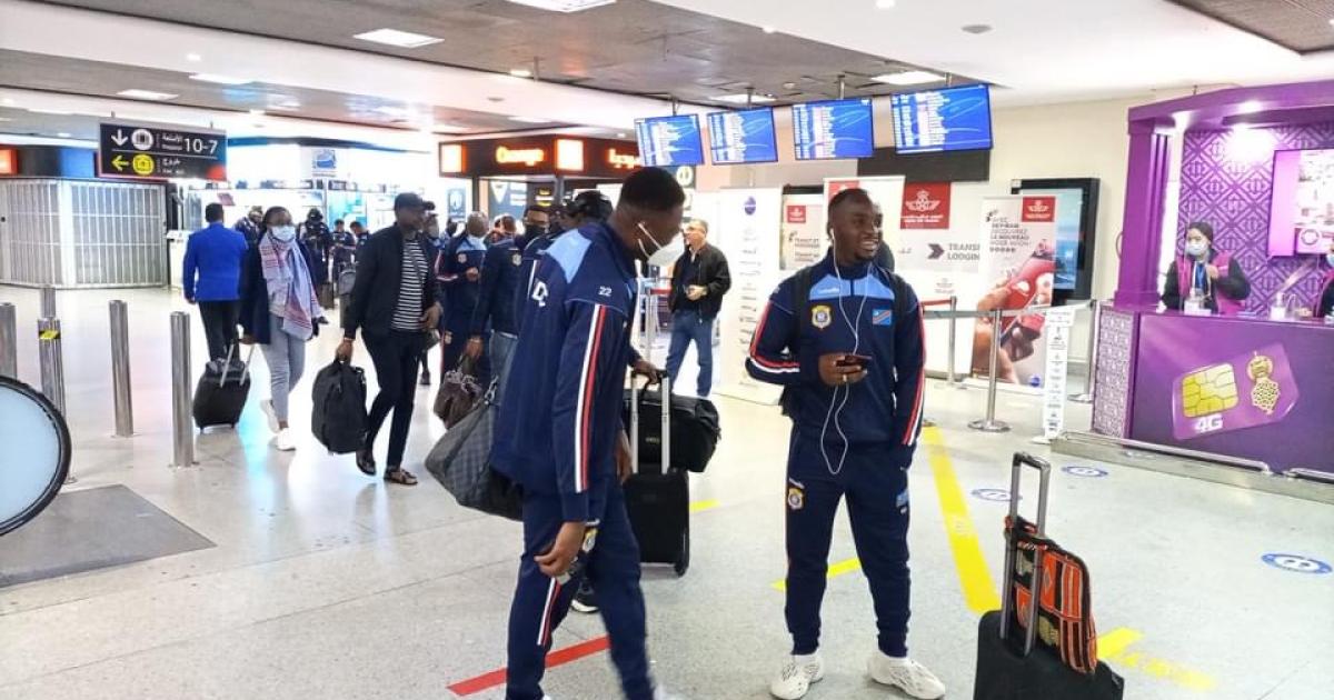 Arrivée des léopards à Casablanca. PH. Fécofa 
