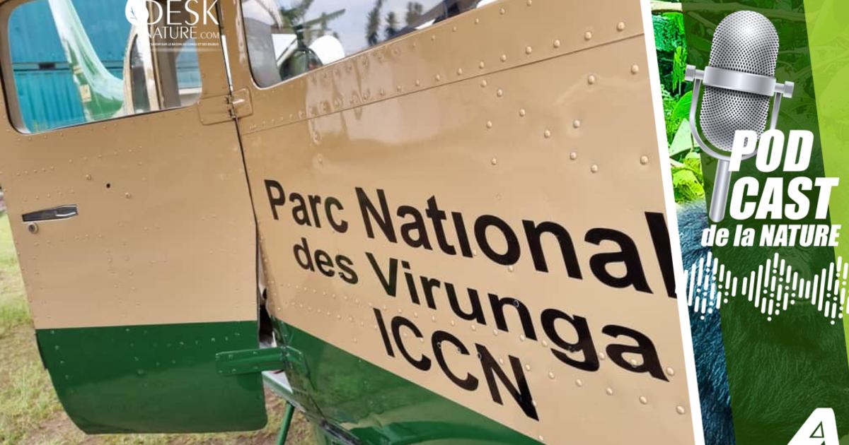 Un monomoteur du Parc National des Virunga