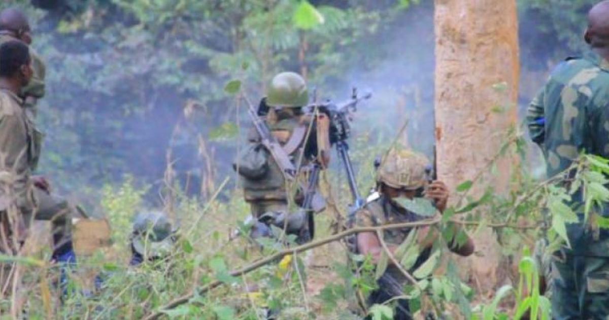 les FARDC 