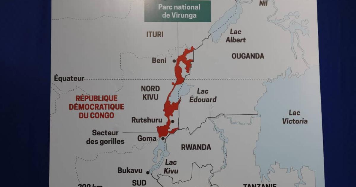 Parc national des virunga visuel