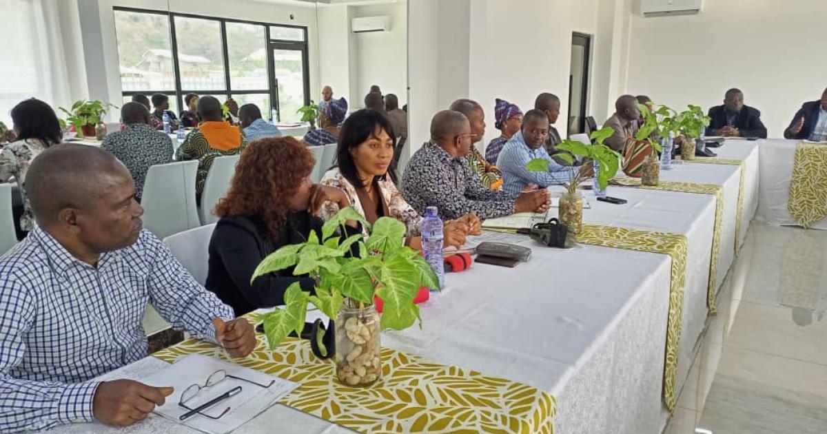 Séance de travail et d’information sur le projet d'aménagement du fleuve Congo