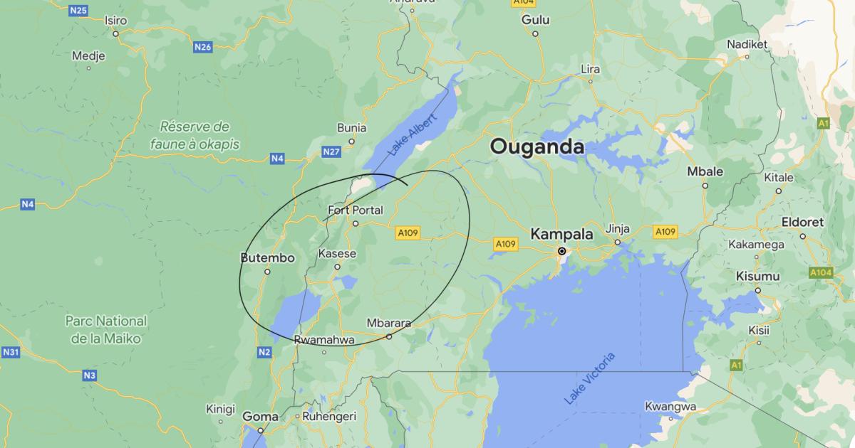 Carte/Google Map