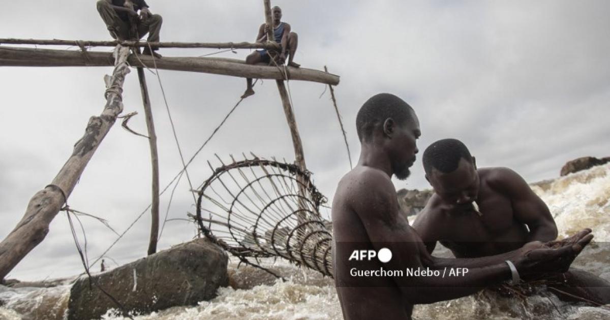Sur le fleuve Congo, les pêcheurs de la chute Wagenya à Kisangani